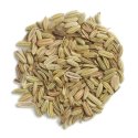 Fennel Seed