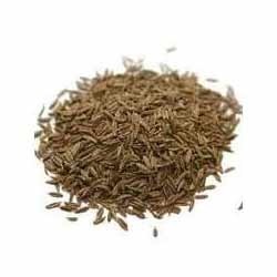 Cumin Seed