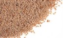 Psyllium Seed